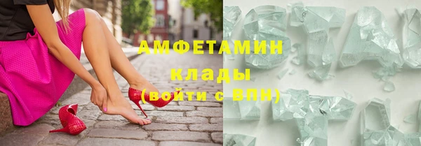 индика Балахна