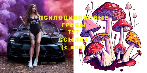 МДМА Приозерск