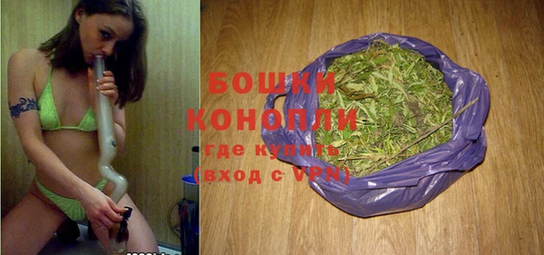 индика Балахна