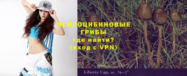 индика Балахна
