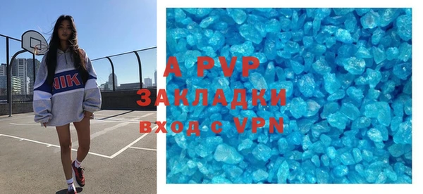 индика Балахна