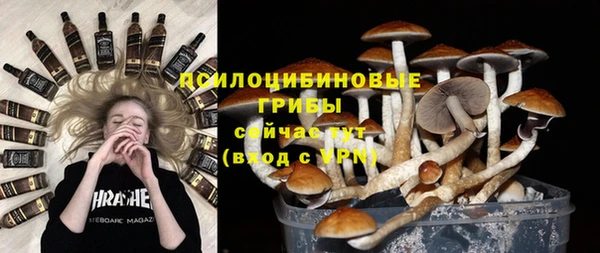 индика Балахна