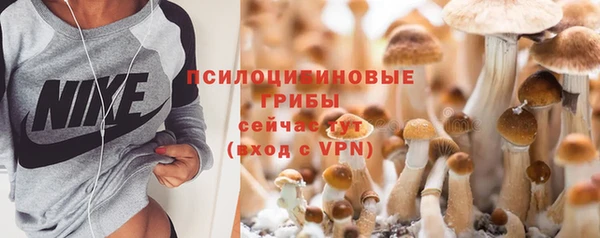 скорость Баксан